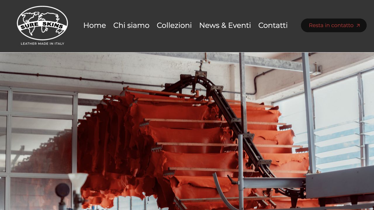 Homepage attuale del sito Sureskins